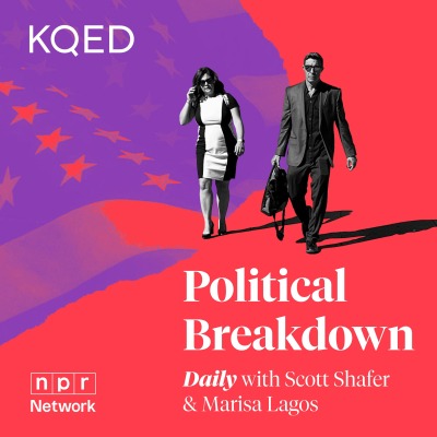 Political Breakdown